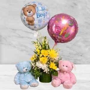 Balloon Baby Basket