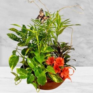 Graceful Garden Planter