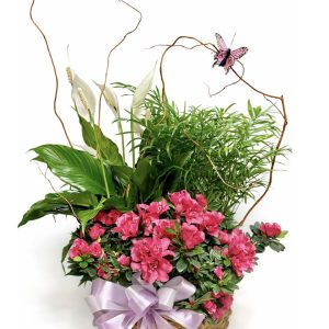 European Garden Basket House Plant