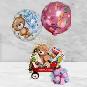 Teddy Takes a Ride Gift Basket